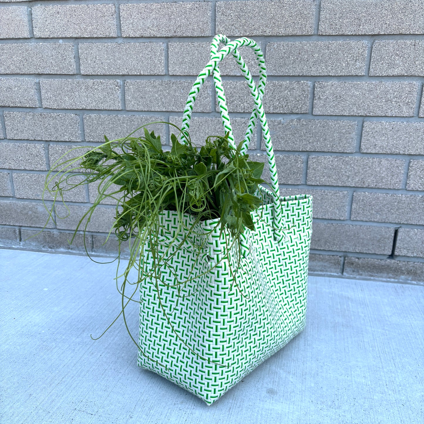 Minty